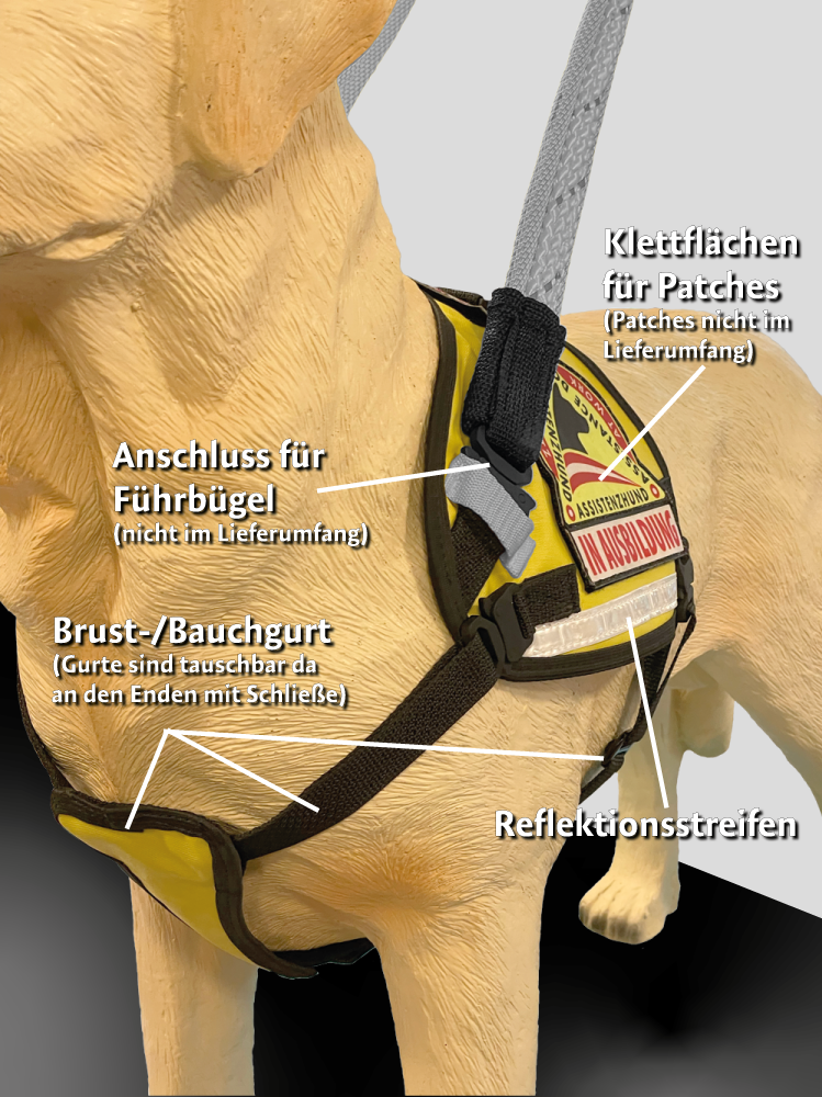 Bundle: Geschirr für Assistenzhunde mit Führbügel